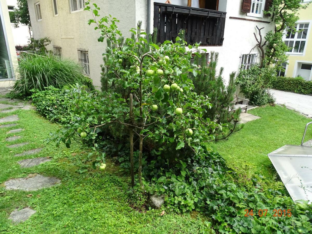 Gartenapartment Zell am See Exterior photo